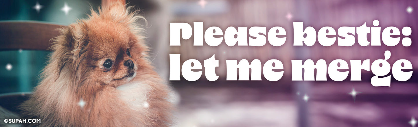 Please Bestie Merge Bumper Sticker
