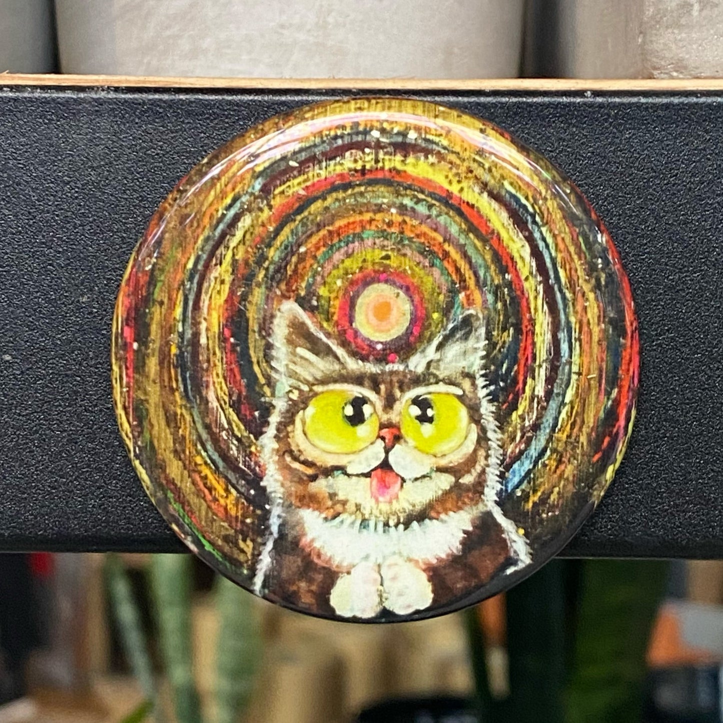 Glow in the Dark Star Cat Magnets