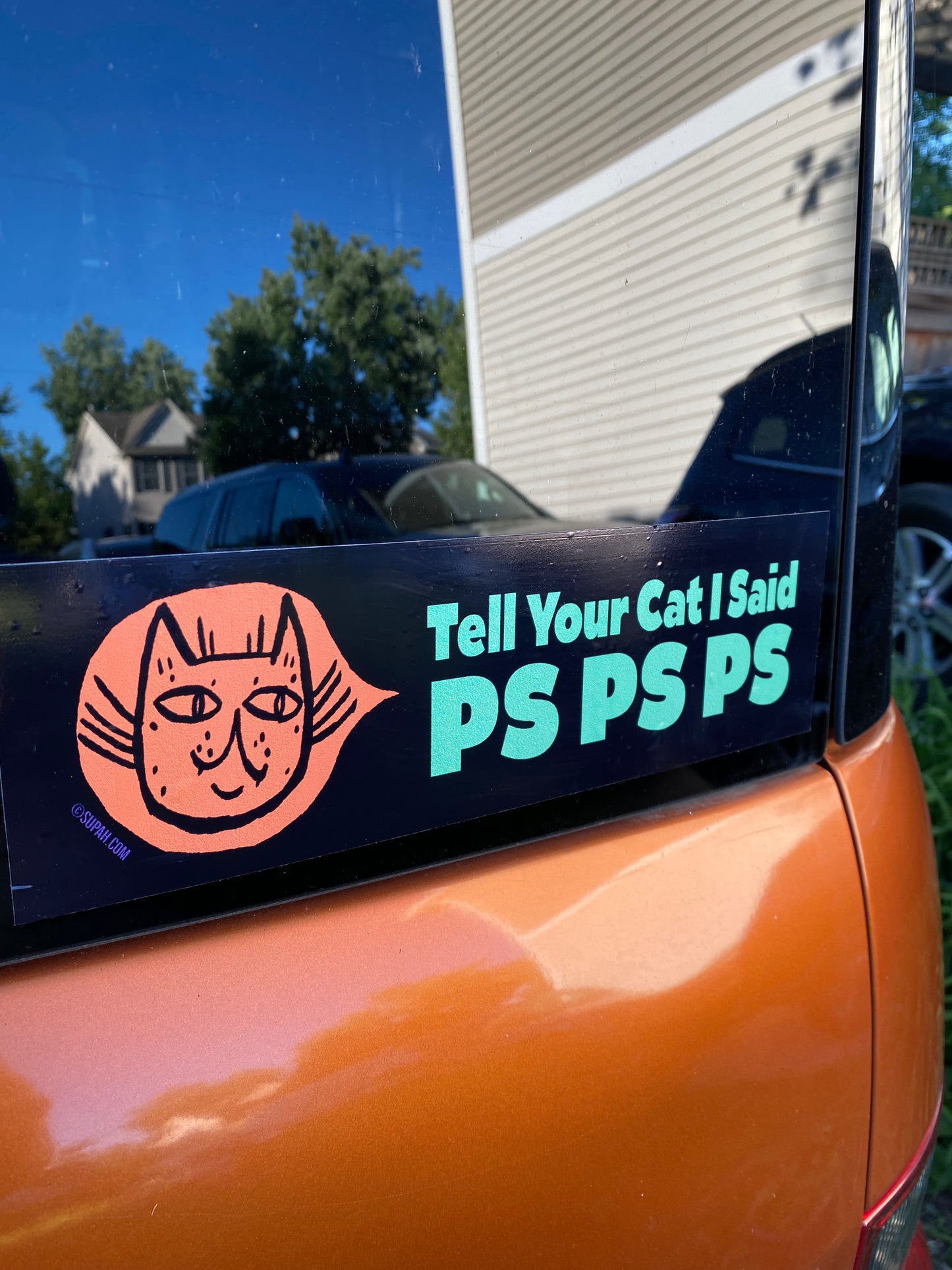 Tell Your Cat I Said Ps Ps Ps Bumper Sticker