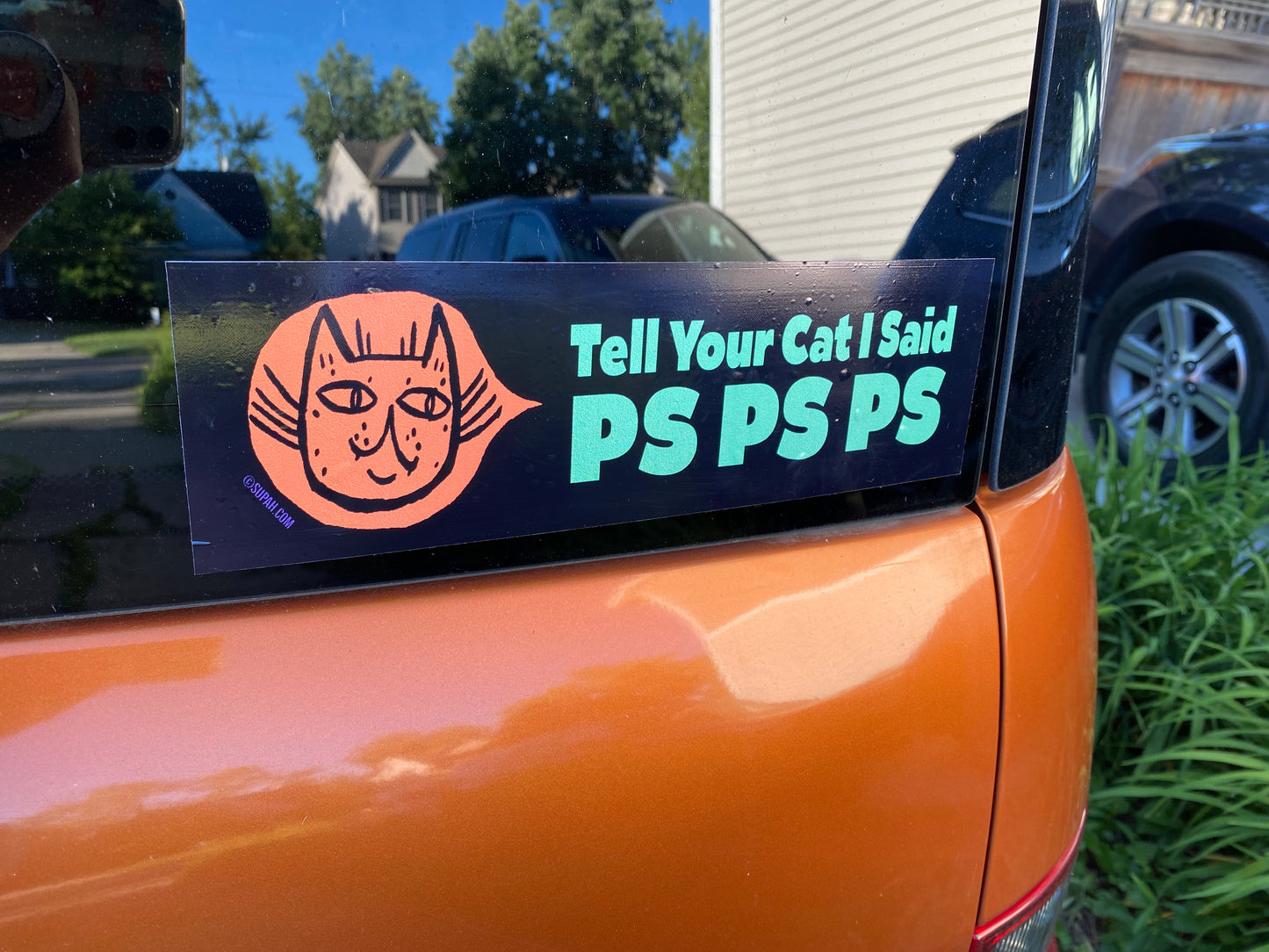Tell Your Cat I Said Ps Ps Ps  Bumper Sticker